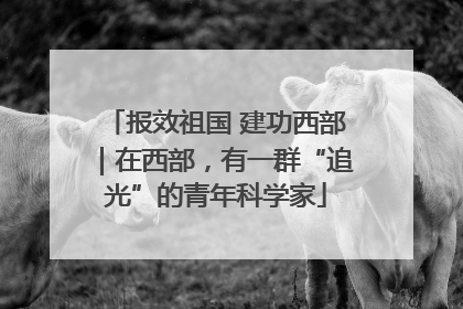 报效祖国 建功西部｜在西部，有一群“追光”的青年科学家