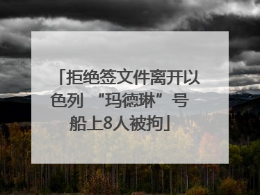 拒绝签文件离开以色列 “玛德琳”号船上8人被拘