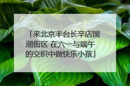 来北京丰台长辛店国潮街区 在六一与端午的交织中做快乐小孩
