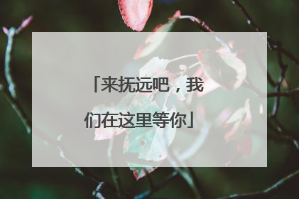 来抚远吧，我们在这里等你