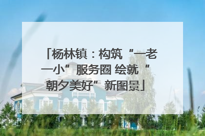 杨林镇：构筑“一老一小”服务圈 绘就“朝夕美好”新图景