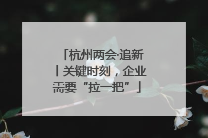 杭州两会·追新丨关键时刻，企业需要“拉一把”