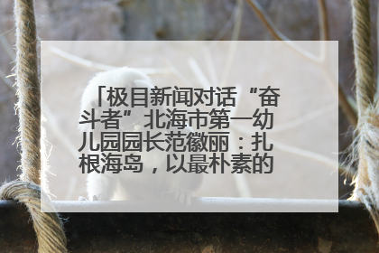 极目新闻对话“奋斗者”北海市第一幼儿园园长范徽丽：扎根海岛，以最朴素的爱践行教育的梦想
