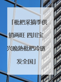枇杷采摘季供销两旺 四川宝兴晚熟枇杷冷链发全国