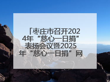 枣庄市召开2024年“慈心一日捐”表扬会议暨2025年“慈心一日捐”网络募捐动员会议