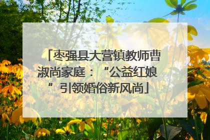 枣强县大营镇教师曹淑尚家庭：“公益红娘”引领婚俗新风尚
