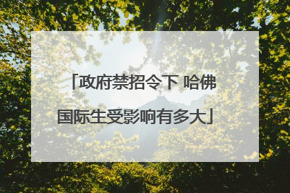 政府禁招令下 哈佛国际生受影响有多大