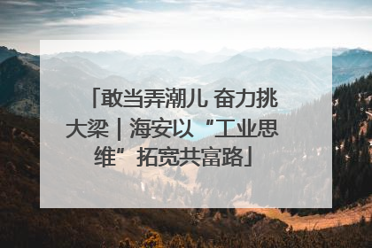 敢当弄潮儿 奋力挑大梁｜海安以“工业思维”拓宽共富路