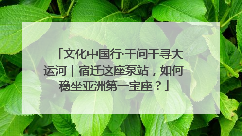 文化中国行·千问千寻大运河｜宿迁这座泵站，如何稳坐亚洲第一宝座？