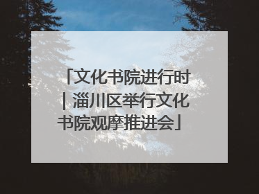 文化书院进行时｜淄川区举行文化书院观摩推进会