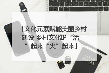 文化元素赋能美丽乡村建设 乡村文化IP“活”起来“火”起来