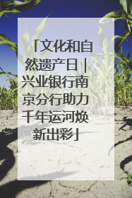 文化和自然遗产日｜兴业银行南京分行助力千年运河焕新出彩
