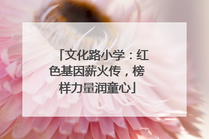 文化路小学：红色基因薪火传，榜样力量润童心