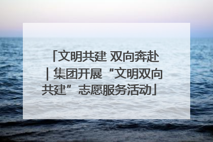 文明共建 双向奔赴｜集团开展“文明双向共建”志愿服务活动