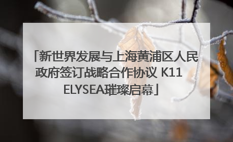 新世界发展与上海黄浦区人民政府签订战略合作协议 K11 ELYSEA璀璨启幕