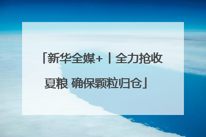 新华全媒+丨全力抢收夏粮 确保颗粒归仓