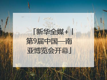 新华全媒+丨第9届中国—南亚博览会开幕