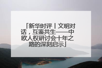 新华时评丨文明对话，互鉴共生——中欧人权研讨会十年之路的深刻启示