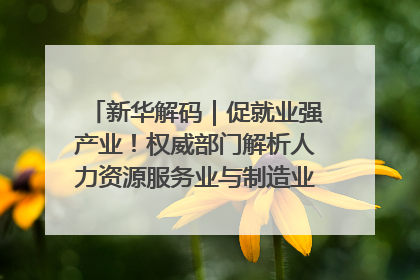 新华解码｜促就业强产业！权威部门解析人力资源服务业与制造业融合发展试点