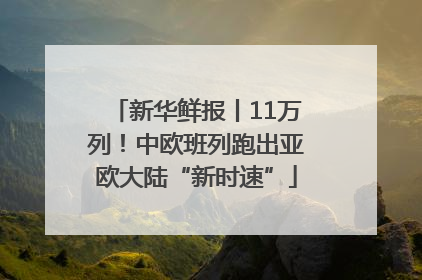 新华鲜报丨11万列！中欧班列跑出亚欧大陆“新时速”