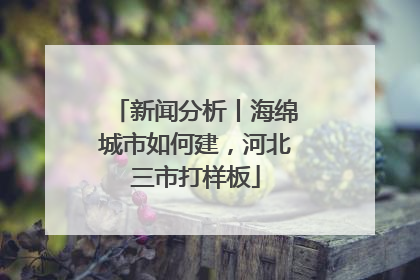 新闻分析丨海绵城市如何建，河北三市打样板
