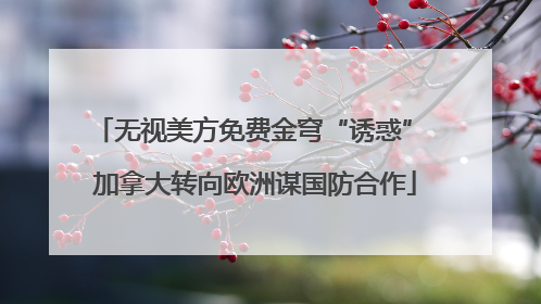 无视美方免费金穹“诱惑” 加拿大转向欧洲谋国防合作