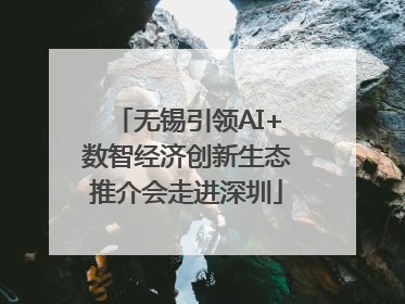 无锡引领AI+数智经济创新生态推介会走进深圳