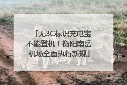 无3C标识充电宝不能登机！衡阳南岳机场全面执行新规