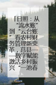 日照：从“流水账”到“云台账”看农村财务管理新变革，莒县——数字赋能激活乡村振兴“一池春水”