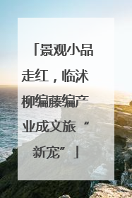 景观小品走红，临沭柳编藤编产业成文旅“新宠”