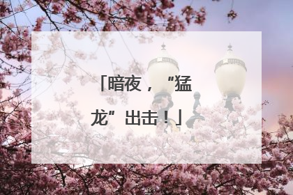 暗夜，“猛龙”出击！