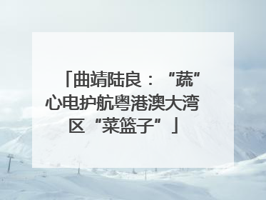 曲靖陆良：“蔬”心电护航粤港澳大湾区“菜篮子”