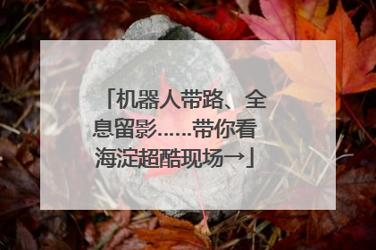 机器人带路、全息留影……带你看海淀超酷现场→