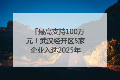 最高支持100万元！武汉经开区5家企业入选2025年度武汉市重点研发计划拟立项项目名单