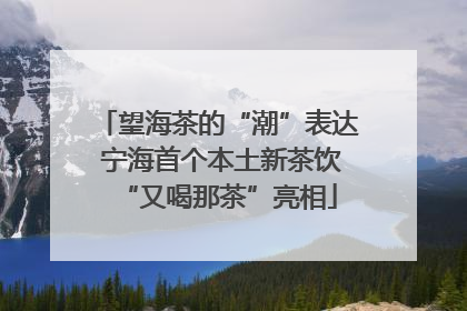 望海茶的“潮”表达 宁海首个本土新茶饮“又喝那茶”亮相