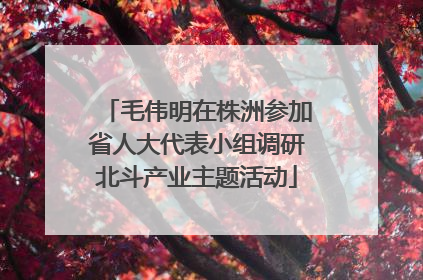毛伟明在株洲参加省人大代表小组调研北斗产业主题活动
