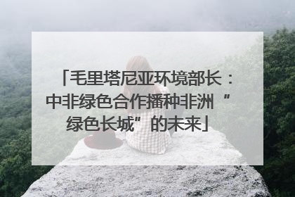 毛里塔尼亚环境部长：中非绿色合作播种非洲“绿色长城”的未来