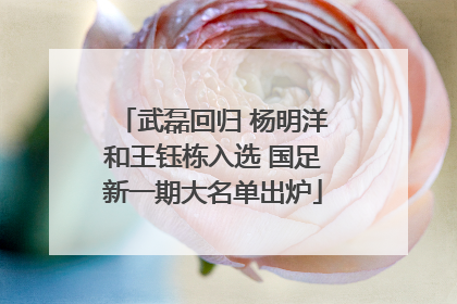 武磊回归 杨明洋和王钰栋入选 国足新一期大名单出炉