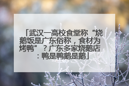 武汉一高校食堂称“烧鹅饭是广东俗称，食材为烤鸭”？广东多家烧鹅店：鸭是鸭鹅是鹅