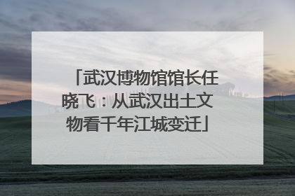 武汉博物馆馆长任晓飞：从武汉出土文物看千年江城变迁