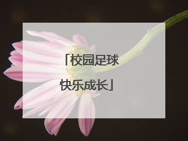 校园足球 快乐成长