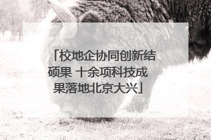 校地企协同创新结硕果 十余项科技成果落地北京大兴