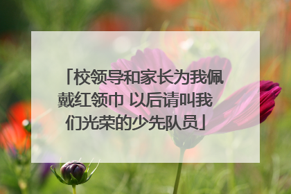 校领导和家长为我佩戴红领巾 以后请叫我们光荣的少先队员