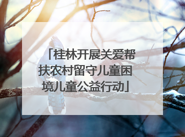 桂林开展关爱帮扶农村留守儿童困境儿童公益行动