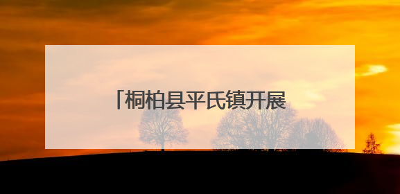 桐柏县平氏镇开展“六一”关爱活动 情暖童心助力成长