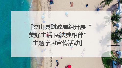 梁山县财政局组开展“美好生活 民法典相伴”主题学习宣传活动