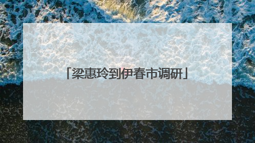 梁惠玲到伊春市调研