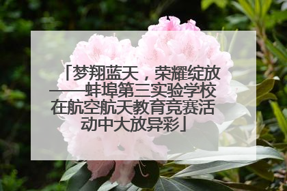 梦翔蓝天，荣耀绽放——蚌埠第三实验学校在航空航天教育竞赛活动中大放异彩