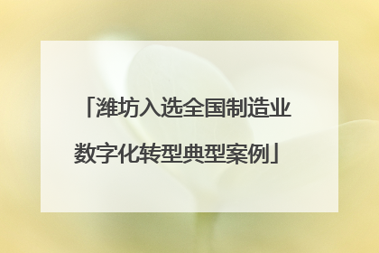 潍坊入选全国制造业数字化转型典型案例