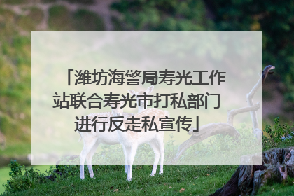 潍坊海警局寿光工作站联合寿光市打私部门进行反走私宣传